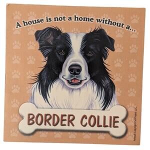 Vtg Border Collie Magnet Dog Lover